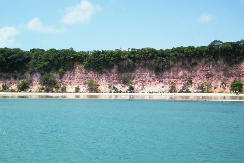 Imagen del tour: Excursión a la bahía de los Golfinhos y playa de Palmas