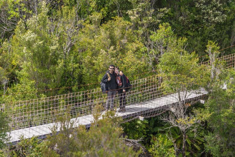 Imagen del tour: Excursión al Parque Tantauco