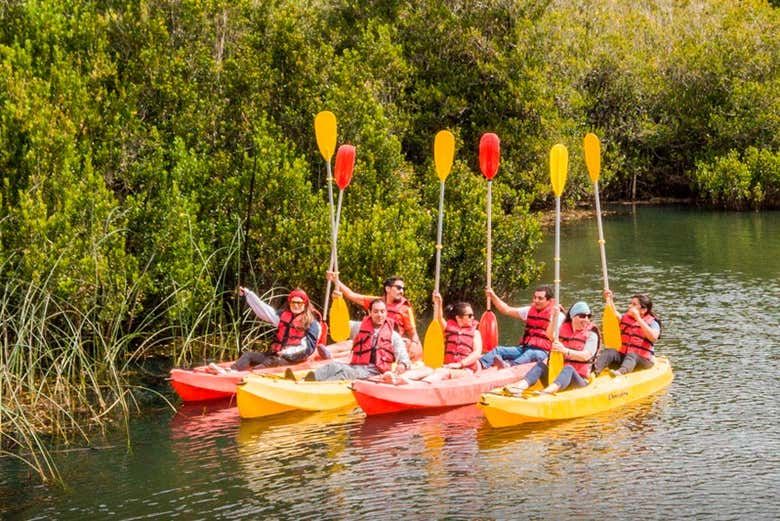 Imagen del tour: Tour en kayak por el río Negro