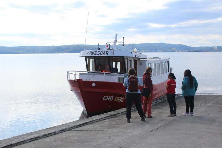 Imagen del tour: Avistamiento de delfines en la isla Tranqui