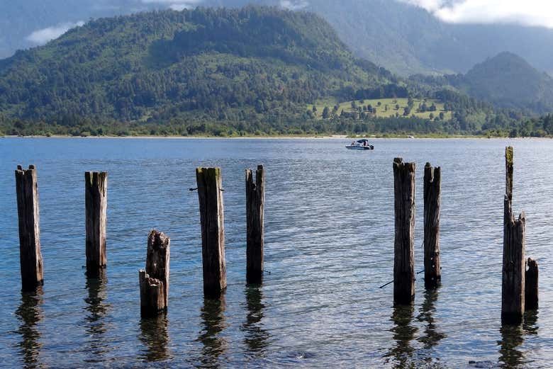 Imagen del tour: Excursión al lago Ranco