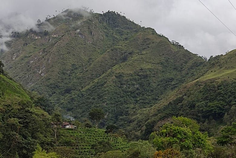 Imagen del tour: Ruta privada de trekking por el volcán Cerro Machín
