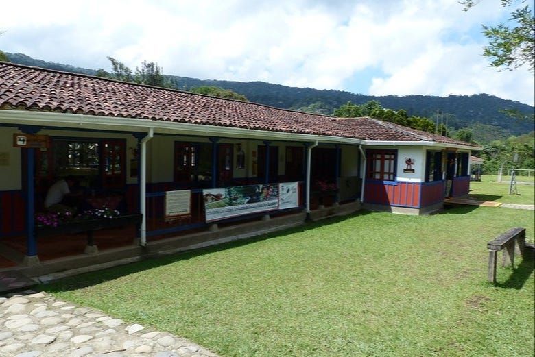 Imagen del tour: Senderismo por el Santuario Otún Quimbaya