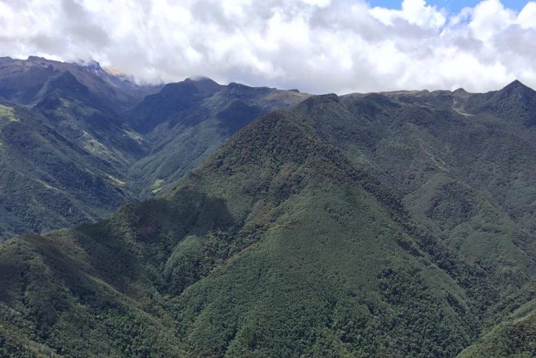 Imagen del tour: Excursión a la Reserva Cerro Morrogacho