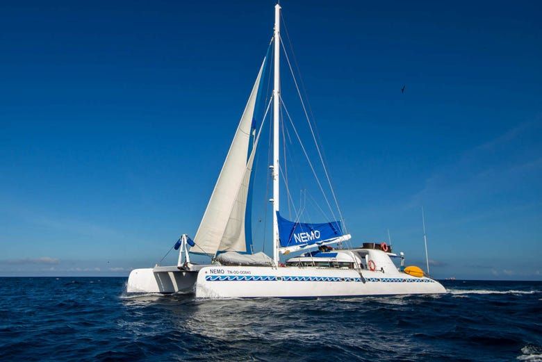 Imagen del tour: Crucero de 4 días por el norte de las islas Galápagos