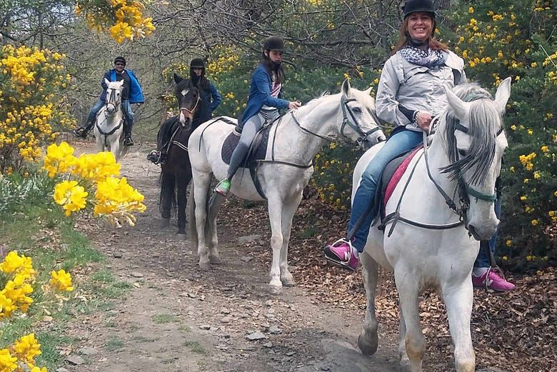 Imagen del tour: Paseo a caballo por la Alpujarra