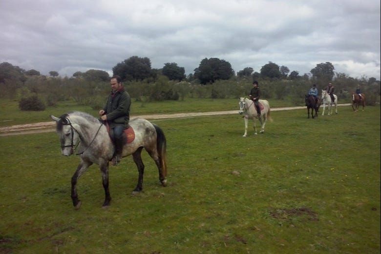 Imagen del tour: Excursión a caballo por el campo de Cáceres