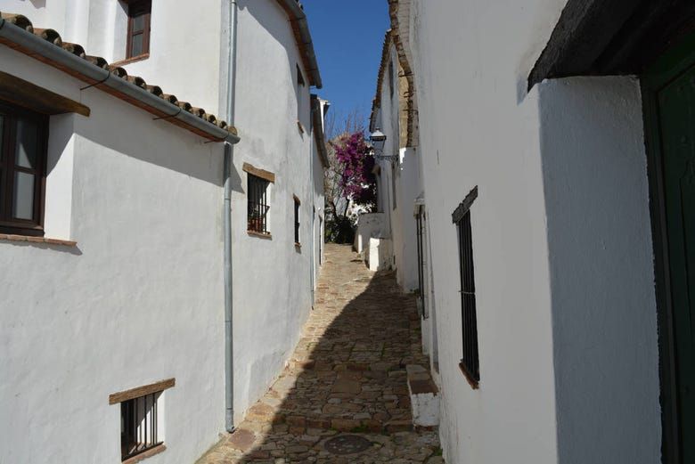 Imagen del tour: Visita guiada por Castellar Viejo