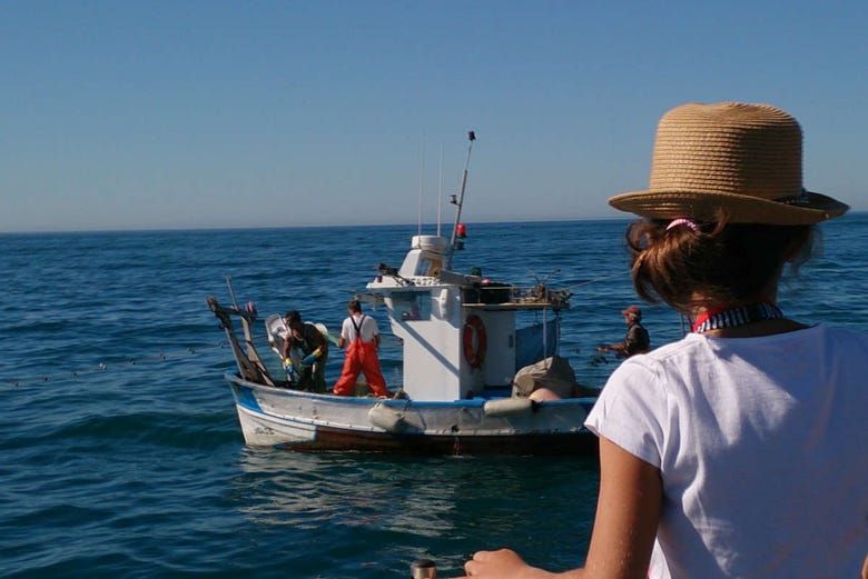 Imagen del tour: Tour por el puerto de Estepona + Paseo en barco