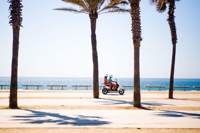 Imagen del tour: Alquiler de motos en Mahón