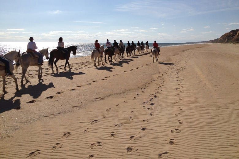 Imagen del tour: Paseo a caballo por Doñana