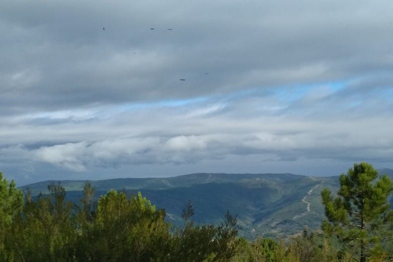 Imagen del tour: Avistamiento de aves en la Sierra de Gata