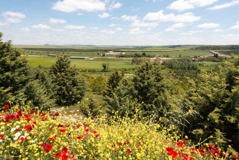 Imagen del tour: Visita guiada por la finca de Matallana