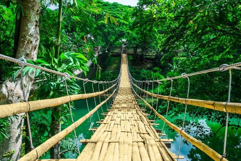 Imagen del tour: Tour privado por Bohol con guía en español