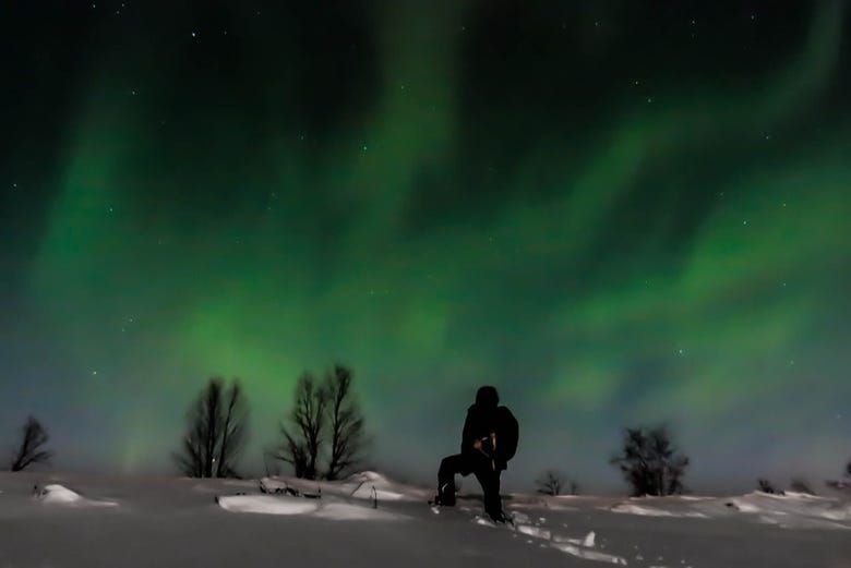 Imagen del tour: Tour de la aurora boreal en raquetas de nieve