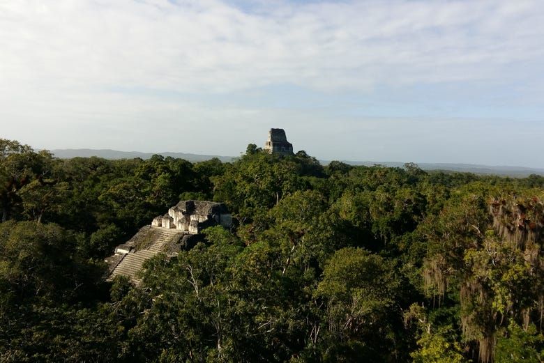 Imagen del tour: Excursión privada a Tikal