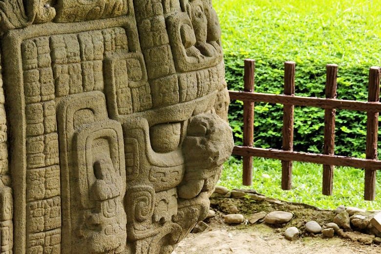 Imagen del tour: Excursión privada al Parque Arqueológico y Parque de Aves