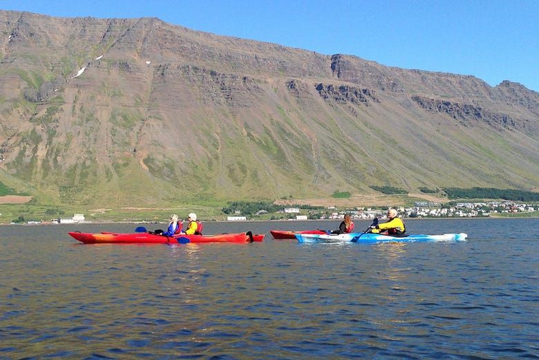 Imagen del tour: Tour en kayak por la bahía de Isafjordur