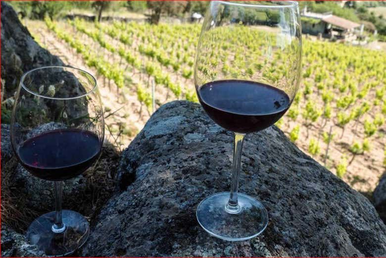 Imagen del tour: Excursión a una bodega de Mamoiada