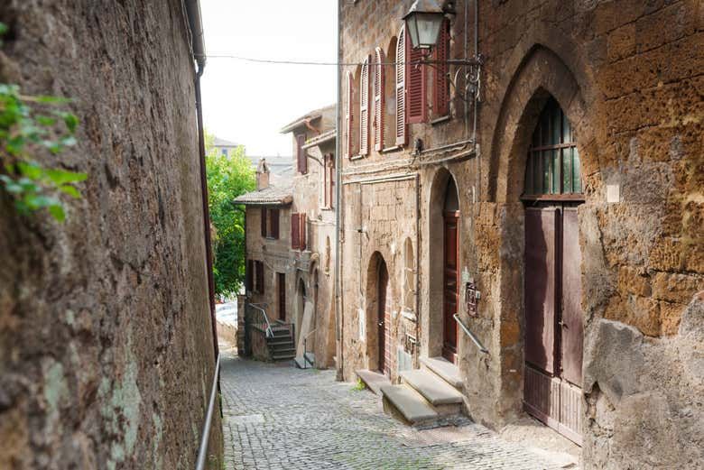 Imagen del tour: Tour privado por Orvieto con guía en español