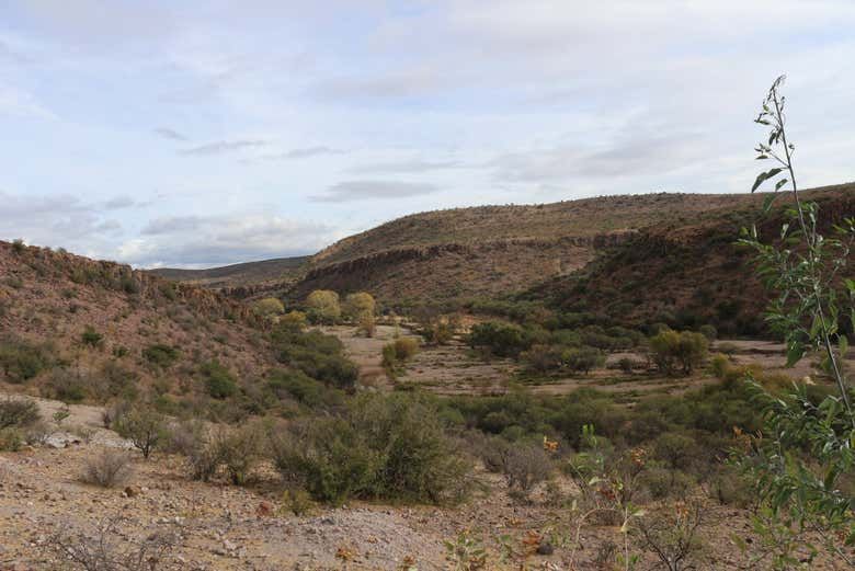 Imagen del tour: Excursión a San Juan del Río