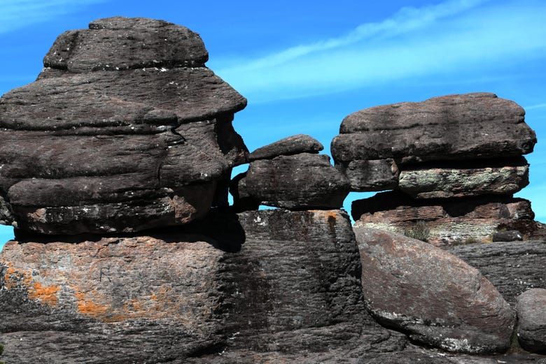 Imagen del tour: Excursión al Parque Natural Mexiquillo