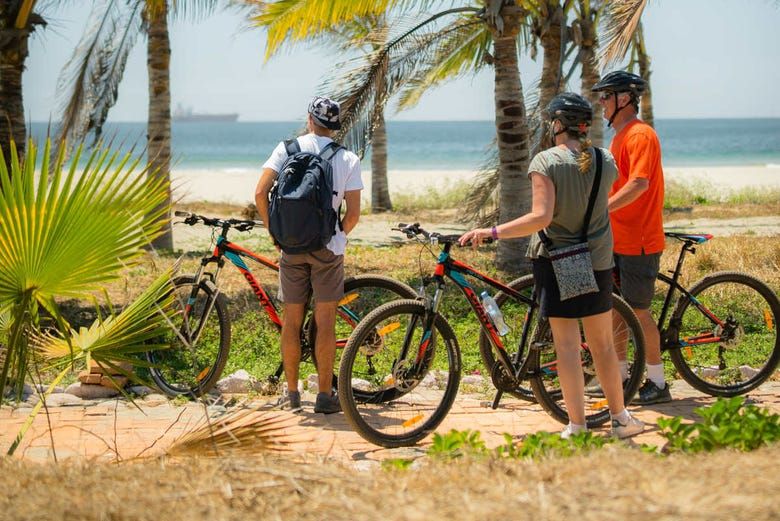 Imagen del tour: Tour en bicicleta por Isla de la Piedra