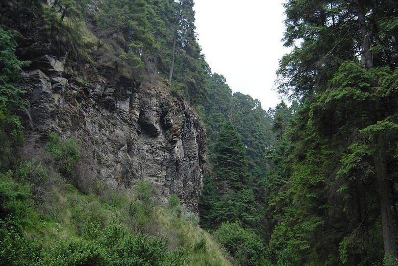 Imagen del tour: Senderismo por el Parque Nacional Izta-Popo Zoquiapan