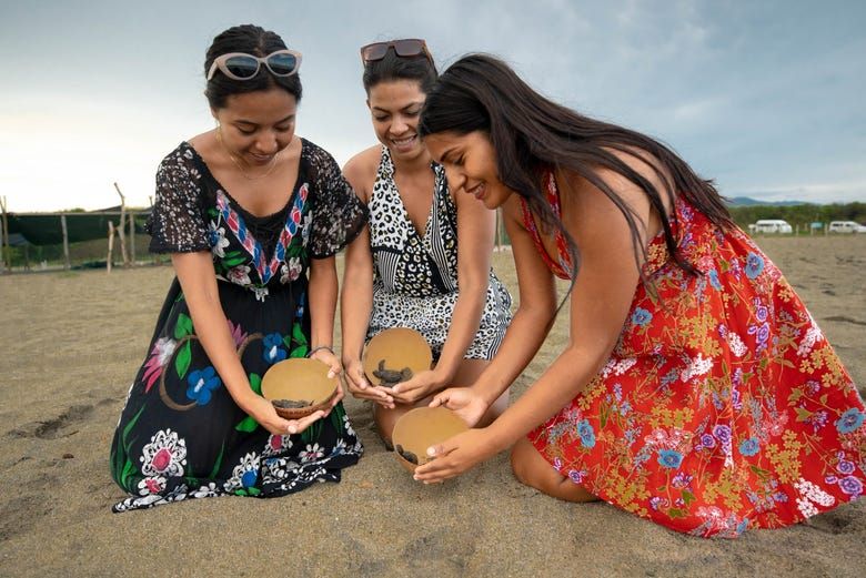 Imagen del tour: Liberación de tortugas en la playa de Colotepec
