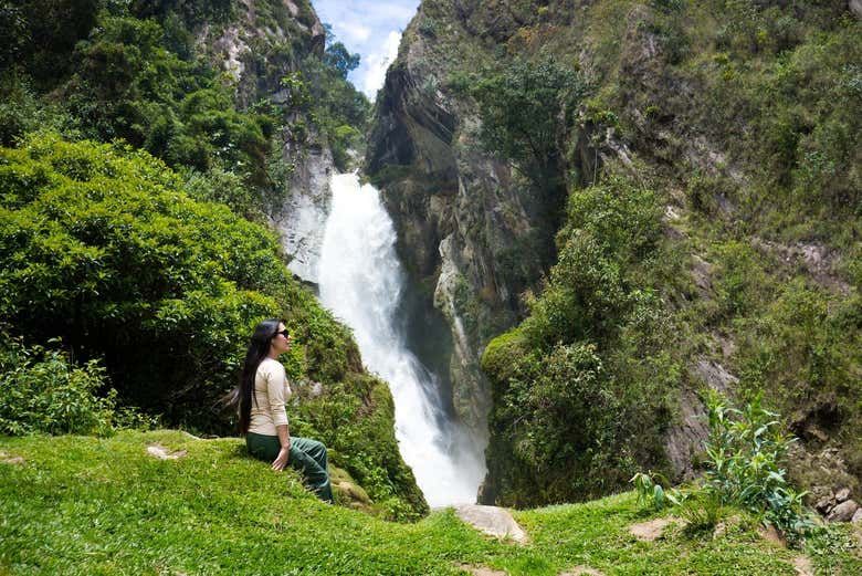 Imagen del tour: Excursión al Santuario Yanesha Yompor Yompiri