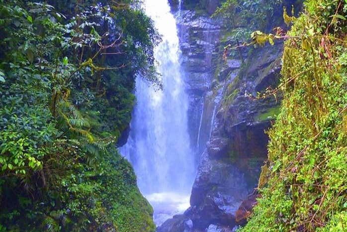 Imagen del tour: Senderismo por La Cañera + Catarata Río Tigre