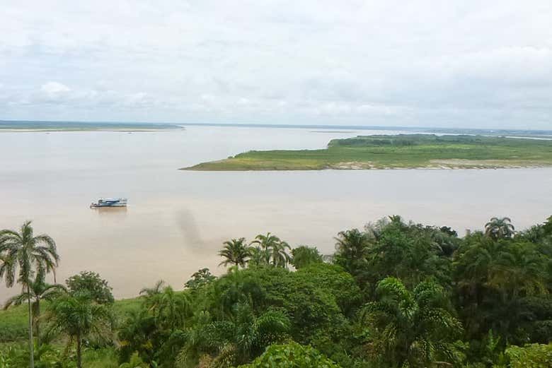 Imagen del tour: Excursión a las lagunas de Yarinacocha y Pacacocha 