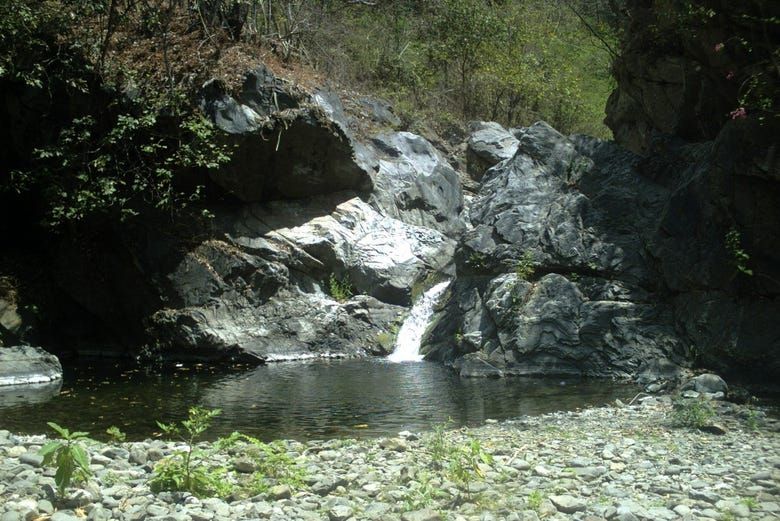 Imagen del tour: Excursión al Parque Nacional Cerros de Amotape