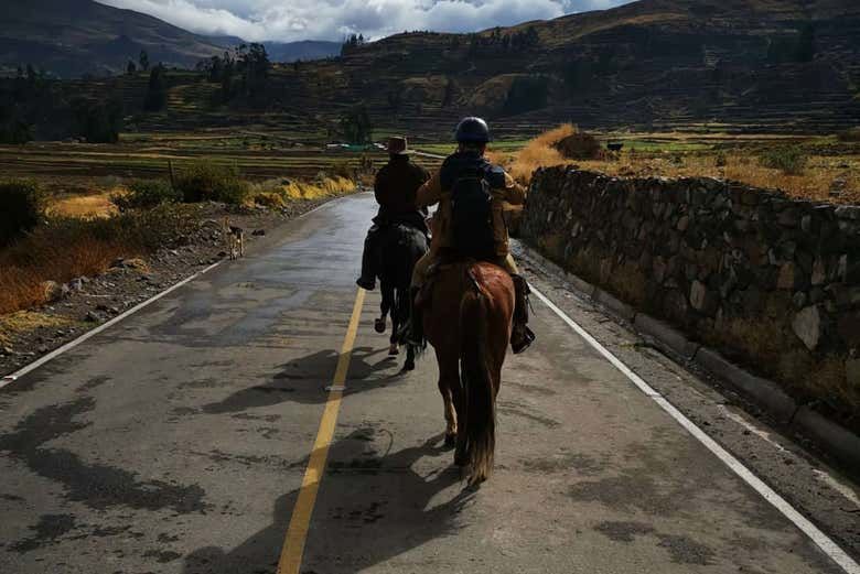 Imagen del tour: Paseo a caballo por el Cañón del Colca