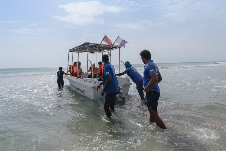 Imagen del tour: Avistamiento de cetáceos en Trincomalee