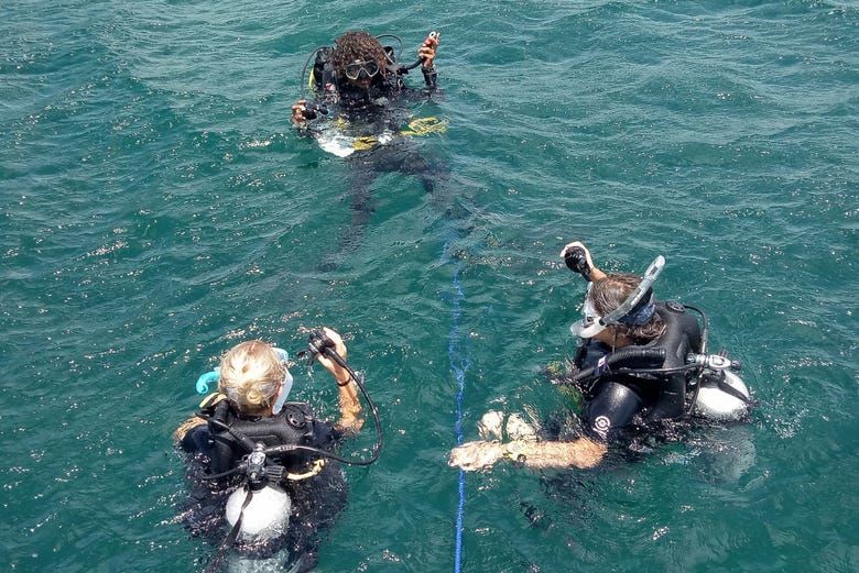 Imagen del tour: Curso de buceo PADI Open Water