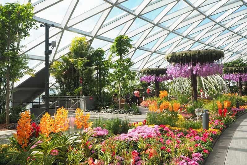 Imagen del tour: Joya Aeropuerto de Changi: Entrada al laberinto de setos y al parque Canopy