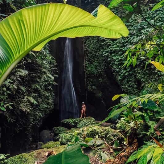 Imagen del tour: Bali Excursión privada de un día al norte de Bali con traslados al hotel