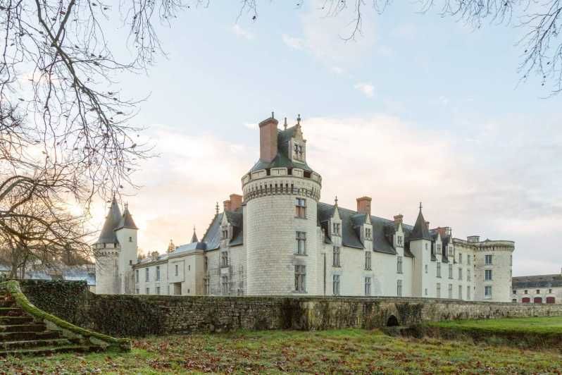 Imagen del tour: Desde Poitiers: Visita privada al Castillo de Dissay
