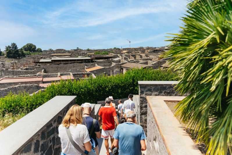 Imagen del tour: Desde Nápoles: tour de las ruinas de Pompeya y monte Vesubio