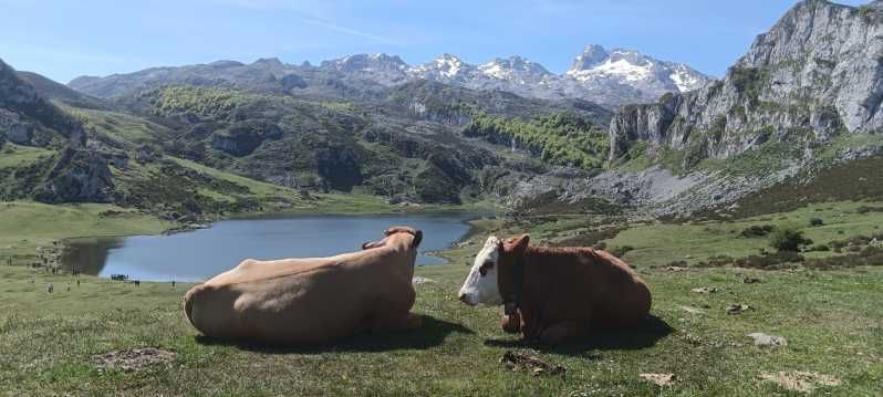 Imagen del tour: Covadonga y Cascos Históricos Cangas de Onís y Lastres