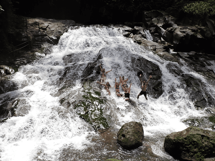 Imagen del tour: Ubud: Tour guiado de medio día por las cataratas de Ubud