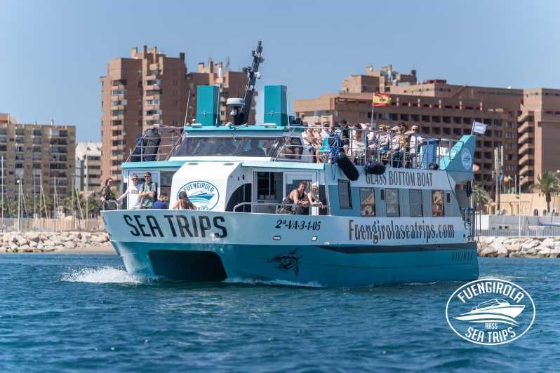 Imagen del tour: Fuengirola: Excursión en catamarán para avistar delfines