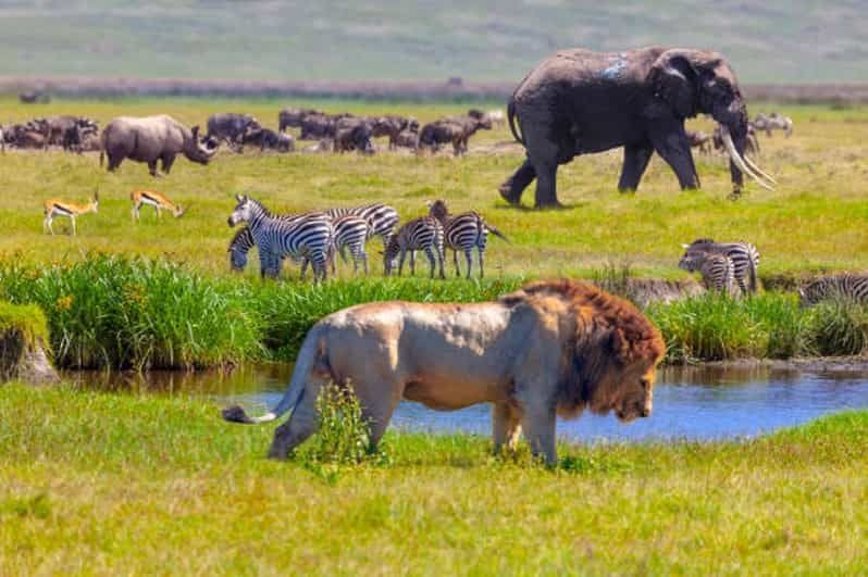 Imagen del tour: Arusha: Safari en camping de varios días por el Serengeti y el Ngorongoro