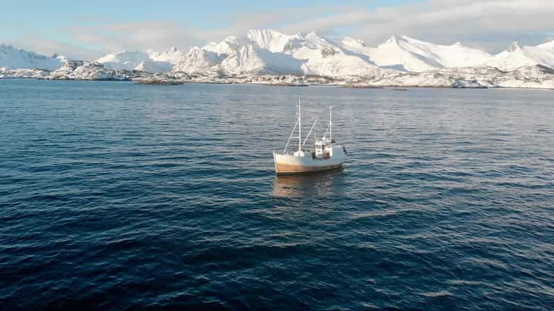 Imagen del tour: Svolvær: Excursión de pesca en el mar de Lofoten