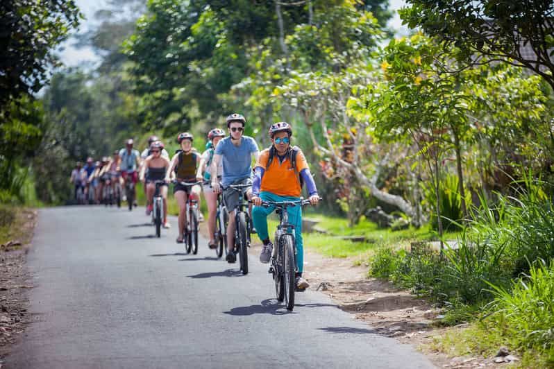 Imagen del tour: Descenso en bicicleta de pueblo de Kintamani a Ubud, con almuerzo