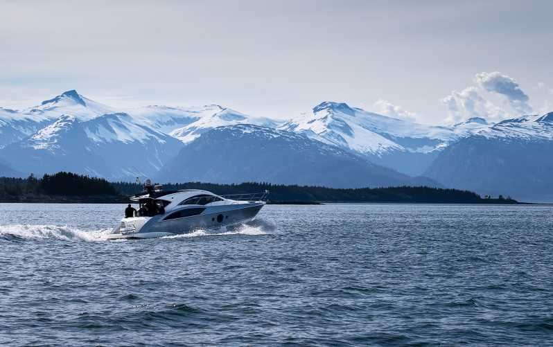 Imagen del tour: Juneau: Avistamiento de Ballenas de Lujo Todo Incluido