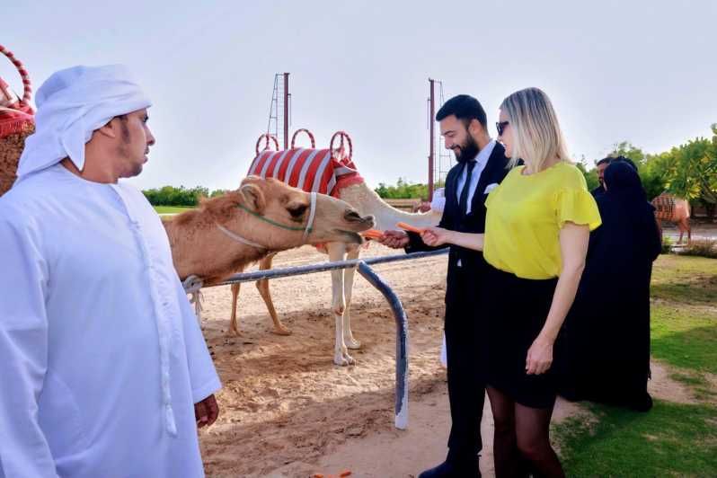 Imagen del tour: Experiencia de carreras de camellos con asientos VIP