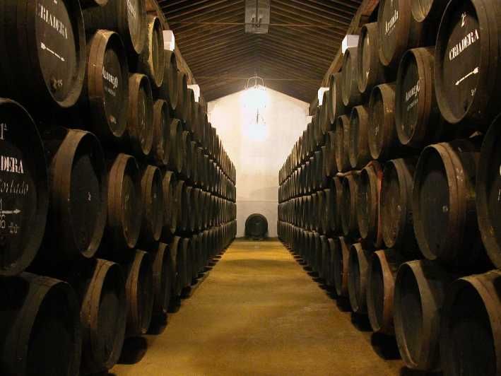 Imagen del tour: Jerez: Visita guiada a las Bodegas Álvaro Domecq con degustación de 4 vinos