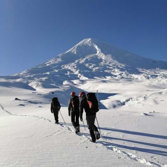Imagen del tour: Ascenso al volcán Llaima, 3.125 msnm, desde Pucón
